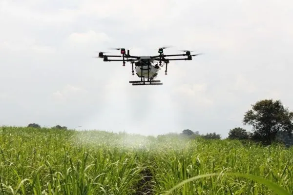Control de plagas con drones en Navarra